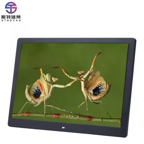 Multi Function Electronic 12 Inch Digital Photo Frame Photo Video Picture Frame