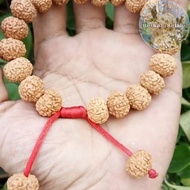 Jenitri Rudraksha Mukhi BRACELET 8 LINES 8 Blessings_Always