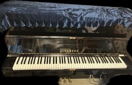 Yamaha U1 鋼琴 / Piano