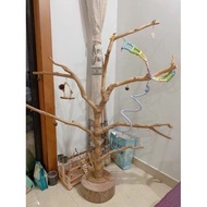 Wooden stand for birds, natural tree branch perch, parrot stand, bird cage stand, tree branch perch