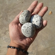 batu koral telur puyuh 1 KG