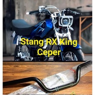 RX King flat handlebars accessories