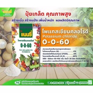 SN [Nancy] ปุ๋ยเกล็ด 20-20-20 แนนซี่ 25-5-5 แนนซี่ สูตร 30-10-10 ปุ๋ย 6-32-32 ฮอร์โมนพืช อาหารเสริมส