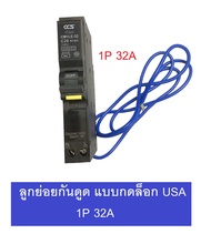 CCS ลูกย่อยเบรกเกอร์ เบรคเกอร์กันดูด  RCBO 1P 32A / 50A / 63A รุ่น Plug-in USA มี มอก ใช้ใส่แทน ยี่ห