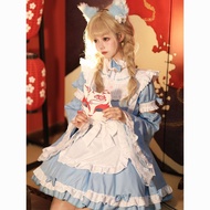 Plus Size Maid Costume - Halloween Alice-Inspired Disney Princess Dress