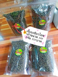 เมล็ดพันธุ์กระเจี๊ยบเขียวโอซาก้า 500กรัม699  บาท