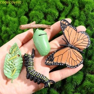 CODECOVEI Simulation Animals Kids Toy For Kid Butterfly Growth Cycle Teaching Material Chicken Spide