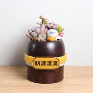 手拿元寶小海豹-多肉植物金邊盆栽(附字牌)生日離職升職兒童禮物