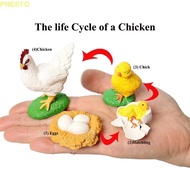 PRESTO Growth Cycle Model Kids Toy Butterfly Growth Cycle Educational Chicken Insect Animals For Kid