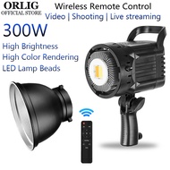 300W Professional Studio Flash Light Strobe Studio lighting for Photography light Photo Strobe Light