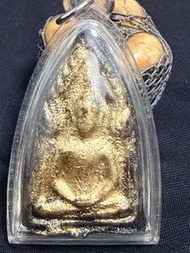 古巴傑薩達 /傑士達  早期坤平 2552-53
