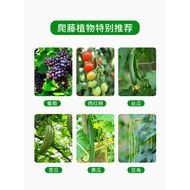 M-8/ Arch Lattice Support Rose Chinese Rose Iron Arch Climbing Guide Road Outdoor Grape Rack Planting Box Flower Stand Y