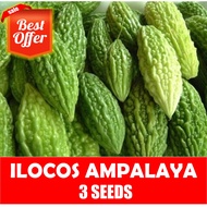 Ilocos Ampalaya - Round Bitter Gourd Seeds