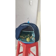 Plain cage shirt Size 36 (Shirt only)