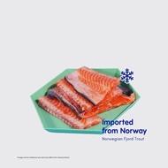 FROZEN SALMO BONE [3 sets] | fjord trout bone | Salmonidae