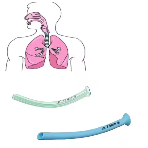 Steril Trumpet Nasal Airway with Medical Pvc Nasopharyngeal Tube Disposable Nasopharyngeal Airway Na