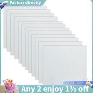 12 Sheets 10mil Mylar Sheet 12 X 12 Inch Milky Translucent PET Blank Stencil Making Sheet  (10mil)