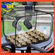 [Okhello.my] Still Air Box Mycology Mushroom Grow Kit Mushroom Grow Bag for Mushroom Lovers