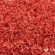 udang kering pigment merah | pakan ikan predator | makanan ikan channa red sampit red barito red