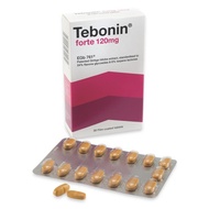 Tebonin Forte 120mg | Patented Gingko Biloba 30s / Concentration / Brain / Blood Circulation