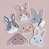 Fluffy Bunny Mousepad
