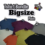 Tshirt Bundle Roundneck Kosong Plain Bigsize Oversize (Pit 20 sehingga Pit 30 ke atas)