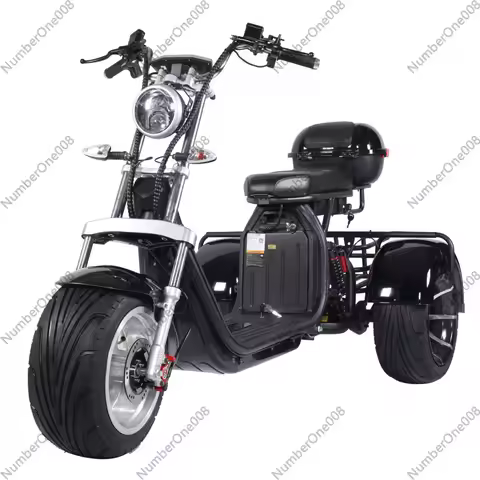 X30S Electric Tricycle 60V1000W Adult 3 Wheel Scooter for Food Delivery Commuting, Cargo Bike with L