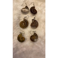 Ammonite halfs earrings