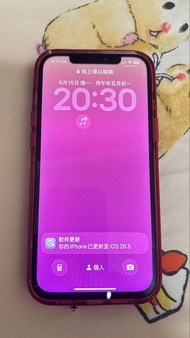 iPhone 12 Pro Max 256GB 銀色
