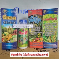 ชุดทำใบ(ปุ๋ยจีแอล21-3-3กิฟฟี่สดชื่นเเอลไบท์)ชุดเร่งต้นเร่งใบ 5.8กก.