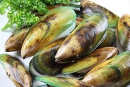 【冷凍貝類】紐西蘭全殼淡菜/ 約1000g/包/孔雀蛤/貽貝/