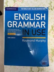 English Grammar In Use