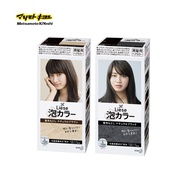 Liese Foam Color 2 Color Variation (Brown, Black) Hair Dye, 108ml Hair Coloring, Hair Colouring Foam