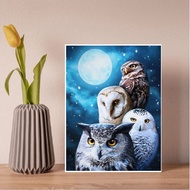ZS004 DIY Diamond Painting Kit Owl Picture Full Round Drill Inlaid Embroidery Craft Cross Stitch Home Decor