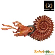 Animal models, genuine Safari Ltd animal toys Ammonite snail dinosaurs 303429 - Schleich House