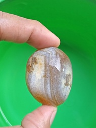 ✅ Batu Akik Cimpago Biru Sulaiman Daud Ujung Tanjung ( Rough / Bahan Batu Akik Natural asli Pesisir 