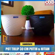 Tulip Pot 30 Cm White/ Wasp Pot 30 Cm White Black/ Bee Pot 30 Cm (Premium Great A) Stock