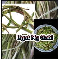 Takway/Daludal /ugat Ng Gabi(1kg)