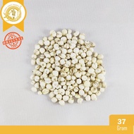 CHUAN BEI (37 grams) CHUAN BEI/ MU BEI/ MU CHUANBEI/ FRITILLARY/