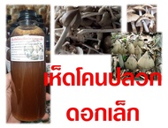 เชื้อเห็ดโคนเห็ดปลวก (ดอกเล็ก) ขนาด 500 มล.  มีของแถมแจกฟรี