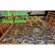 🔥🦀Jaring pancing Ketam drone 8 lapis , 3lapis +kantung ,4lapis +kantung, Dan kantung umpan (extra) V
