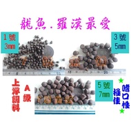 No.7 Fish Shop--High Protein Arowana Feed-Grade A Carnivorous Floating Feed Large Small Pellets (Eel