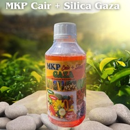 MKP cair + silica gaza  mencegah kerontokan bunga dan buah  berat bersih 1000ml