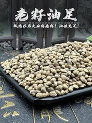 『寶島養生堂』火麻籽材大顆粒火麻子鳥糧鸚鵡鴿糧巴馬火麻子仁火麻仁籽種子
