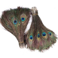 High-Quality Peacock Feather 25-30CM Peacock Feather Peacock Feather Peacock Tail Peacock 55ml0