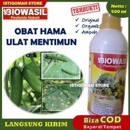 BIOWASIL 500ml Pestisida Nabati Obat Semprot Pembasmi Hama Penyakit Ulat Daun dan Buah Tanaman Menti