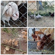 Dog Circle Sheep Breeding Net Barbed Wire Net Guardrail Net Fence Barbed Wire Pig Breeding Circle Br