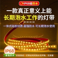 Waterproof LED Solid Underwater Lighting Strip IP68 Fish Pond Dedicated 5VUSB Silicone Light Strip I