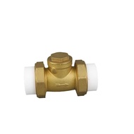 PPR Check Valve PPR Brass Check Valve Double Headed Double Hot Melt Check Valve Check Valve Double U