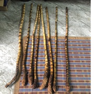 ROTAN SEMAMBU PANJANG 3 KAKI LEBIH